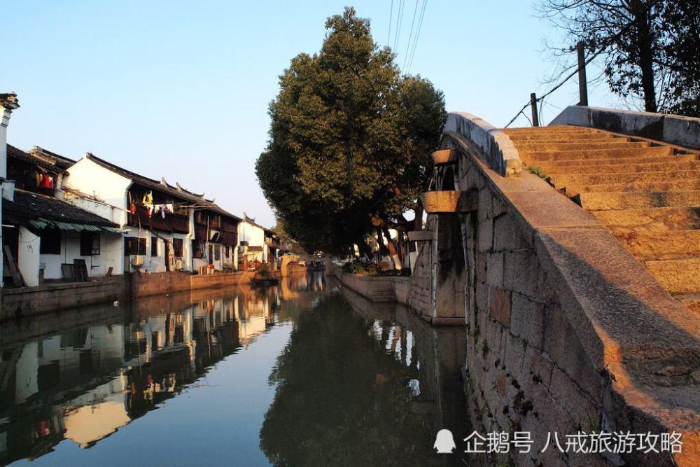 七朵玫瑰花代表什么意思?-你的全能有问必答平台